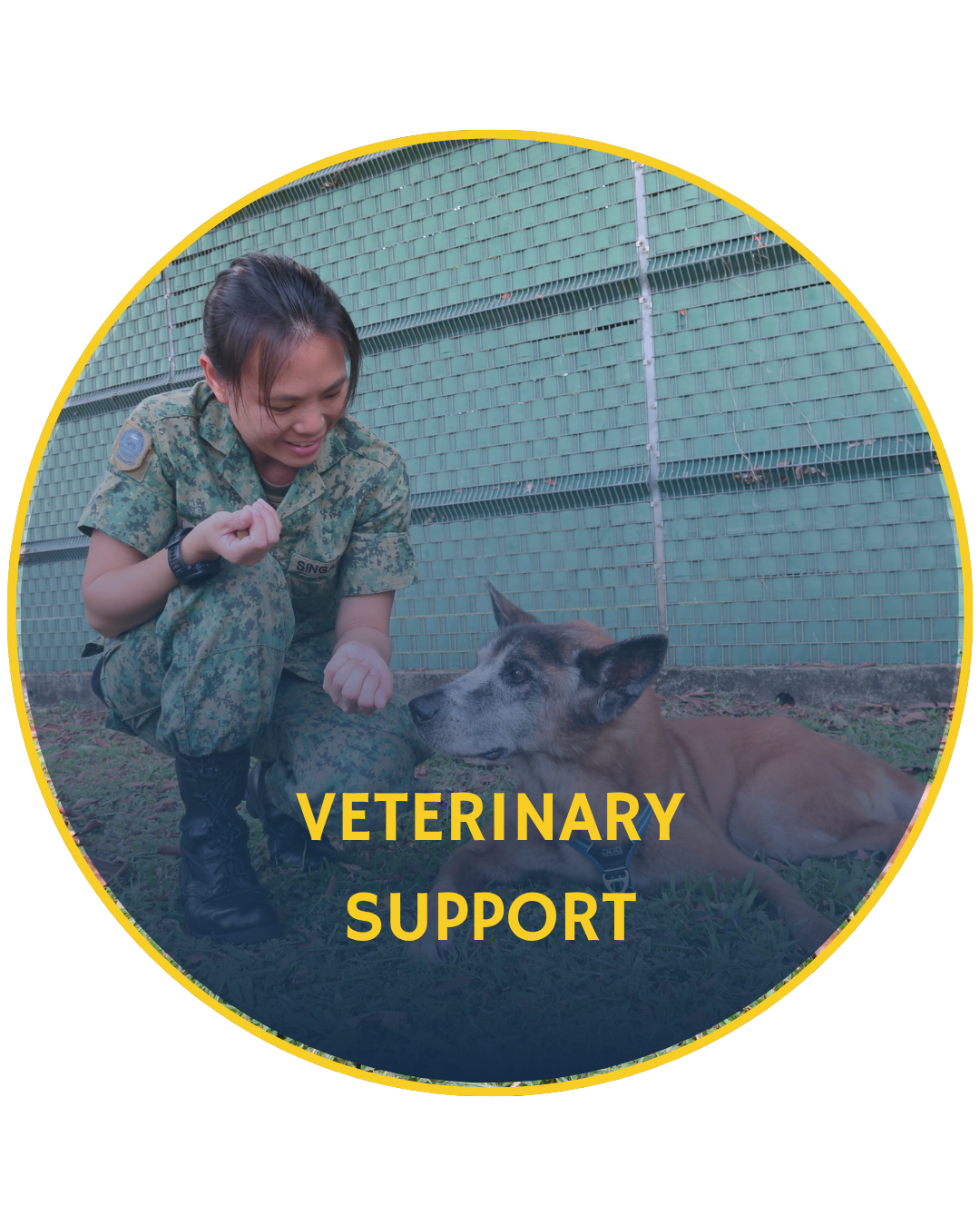 Military personnel working with K9.